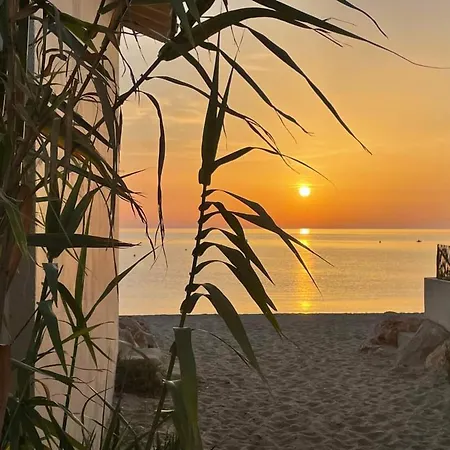 アパート Avec Piscine, Tennis Et Terrasse A 500m De La D'argeles - Fr-1-776-59