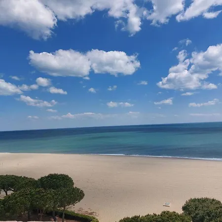 Apartment Avec Piscine, Tennis Et Terrasse A 500m De La D'argeles - Fr-1-776-59 Argeles-sur-Mer