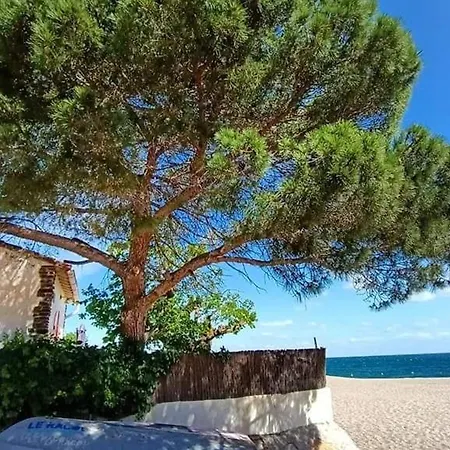 Avec Piscine, Tennis Et Terrasse A 500m De La D'argeles - Fr-1-776-59 * Argelès-sur-Mer