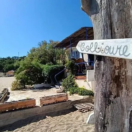 Avec Piscine, Tennis Et Terrasse A 500m De La D'argeles - Fr-1-776-59 * أرجيليه- سور- مير
