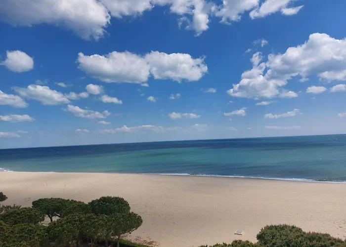Διαμέρισμα Avec Piscine, Tennis Et Terrasse A 500m De La D'argeles - Fr-1-776-59 Argelès-sur-Mer