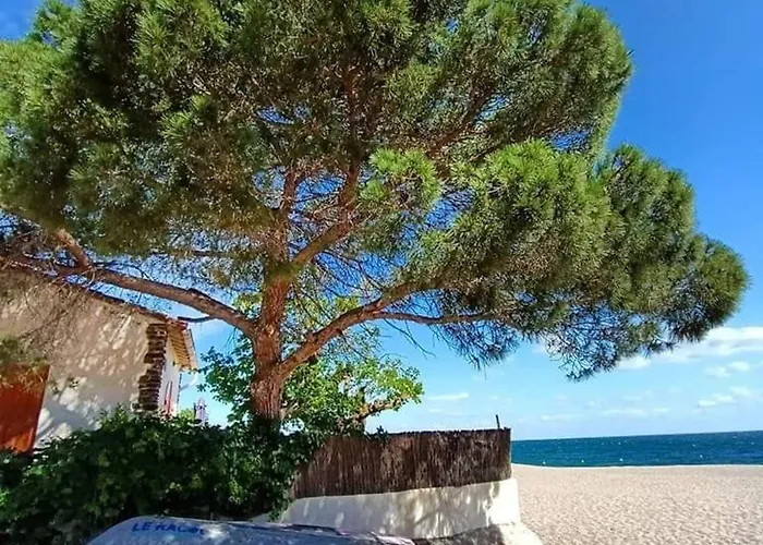 Avec Piscine, Tennis Et Terrasse A 500m De La D'argeles - Fr-1-776-59 * Argelès-sur-Mer